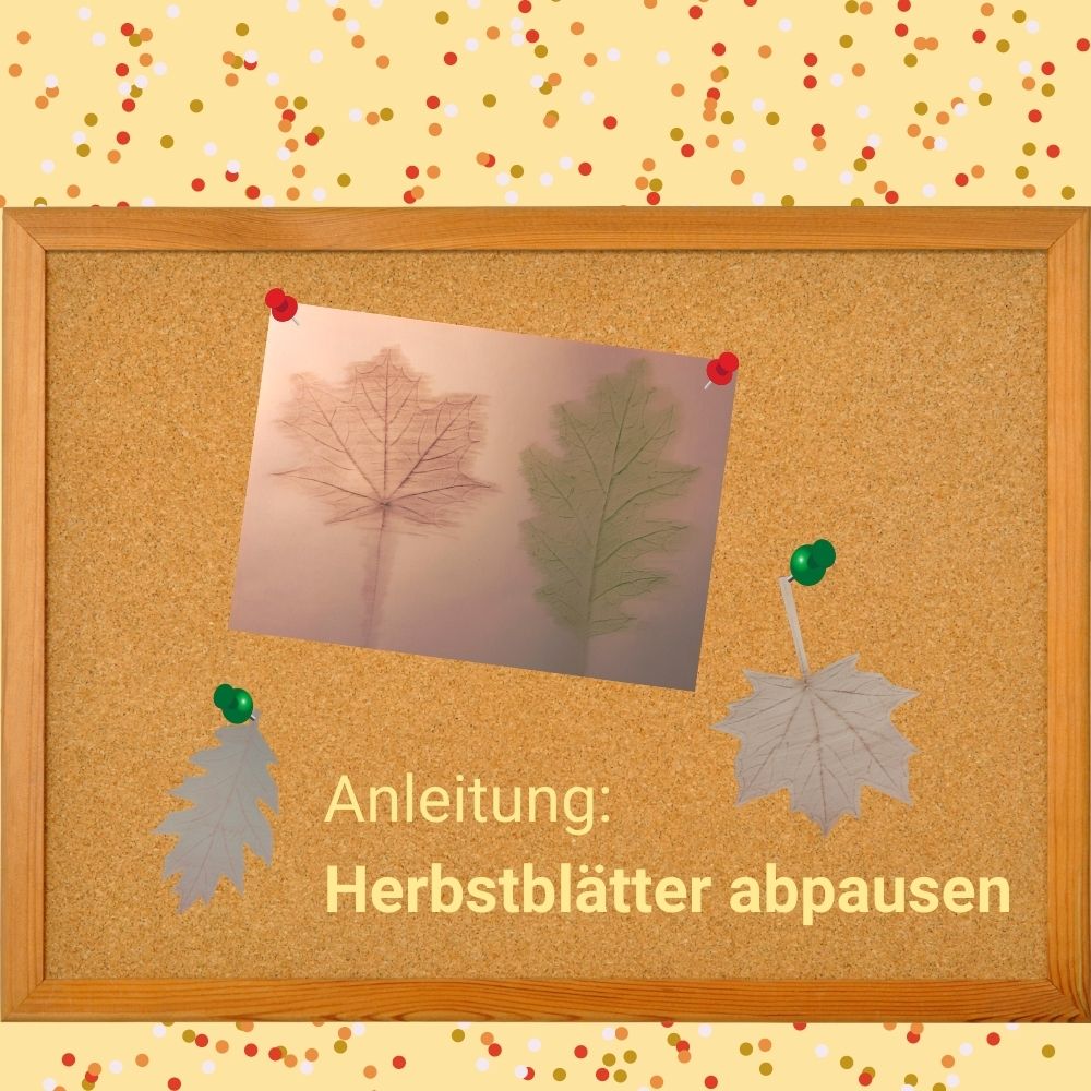 Bastelanleitung: Herbstblätter abpausen