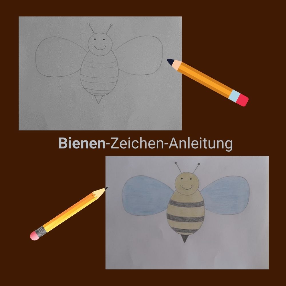 Zeichenanleitung: Bienen