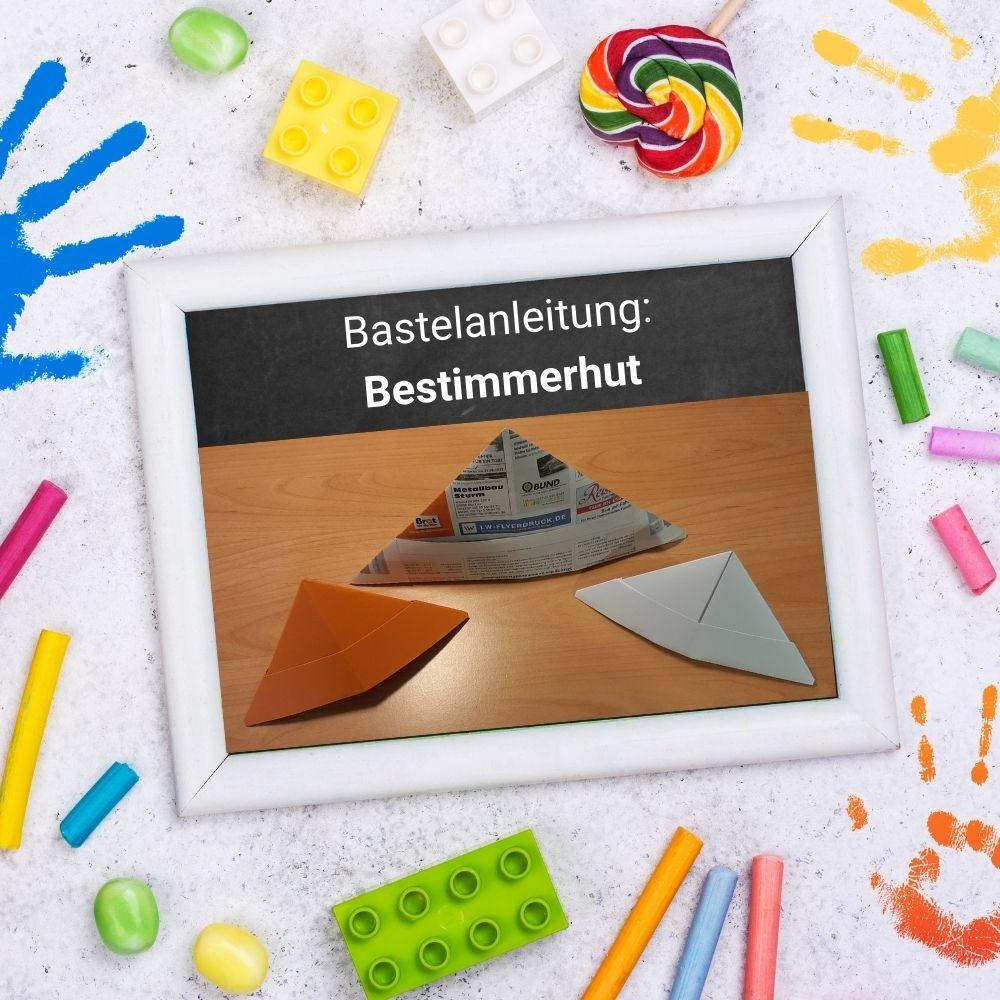 Bastelanleitung: Bestimmerhut Bastelanleitung: Bestimmerhut