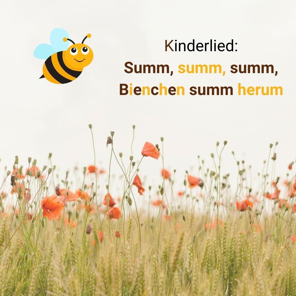 Lied: Summ, summ, summ, Bienchen summ herum Lied: Summ, summ, summ, Bienchen summ herum
