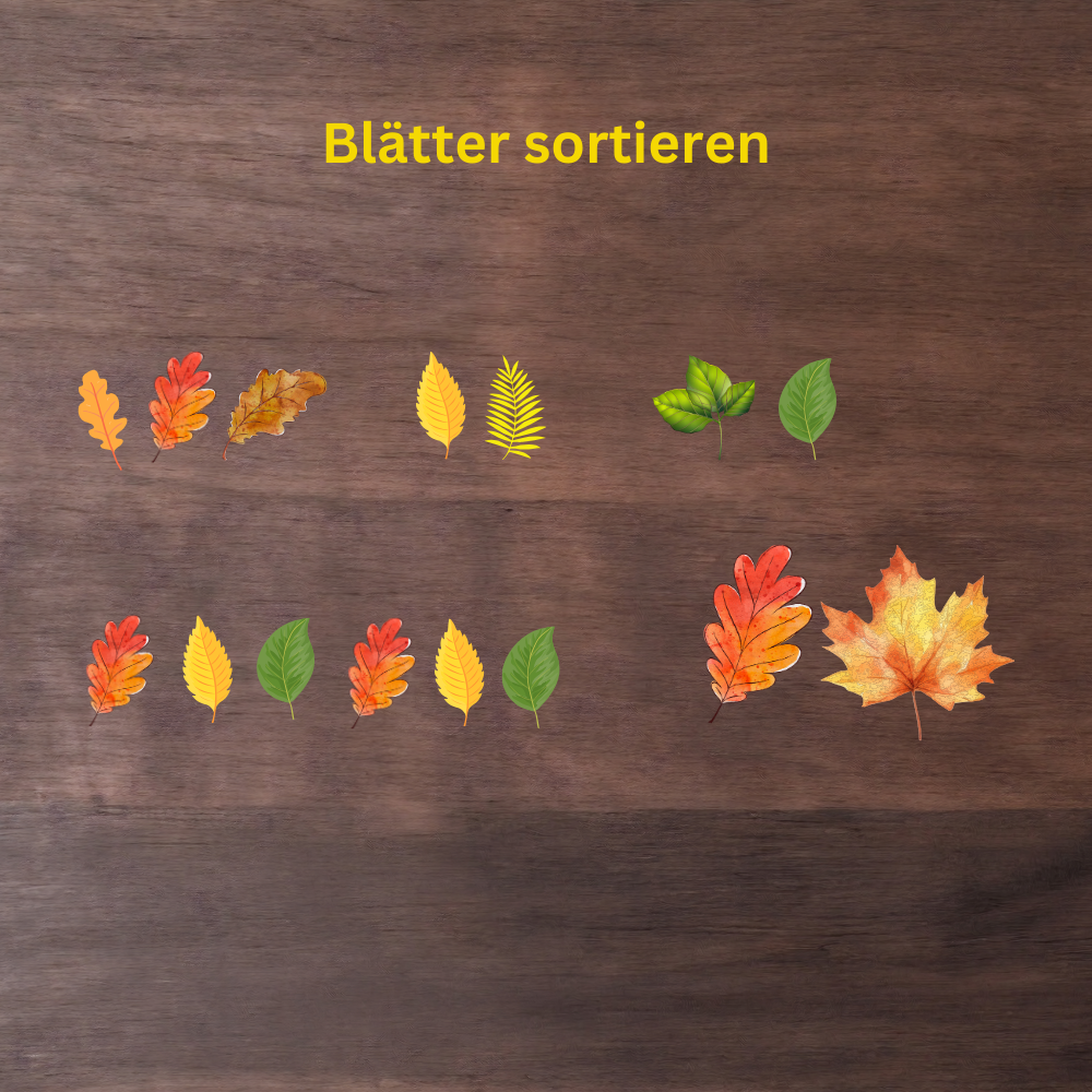 Herbstblätter sortieren Herbstblätter sortieren