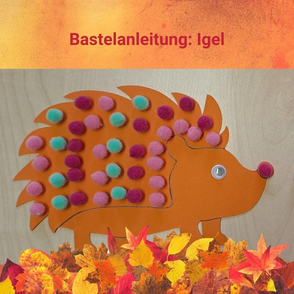 Bastelanleitung Igel Bastelanleitung Igel