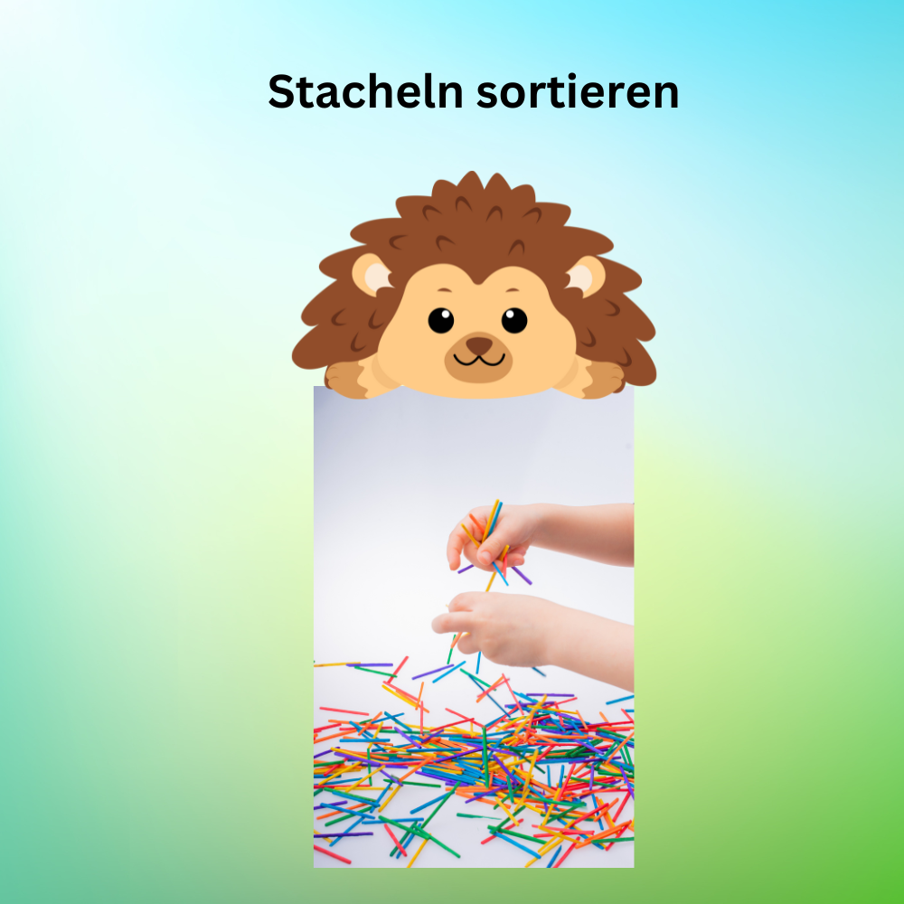 Igelstacheln sortieren Igelstacheln sortieren