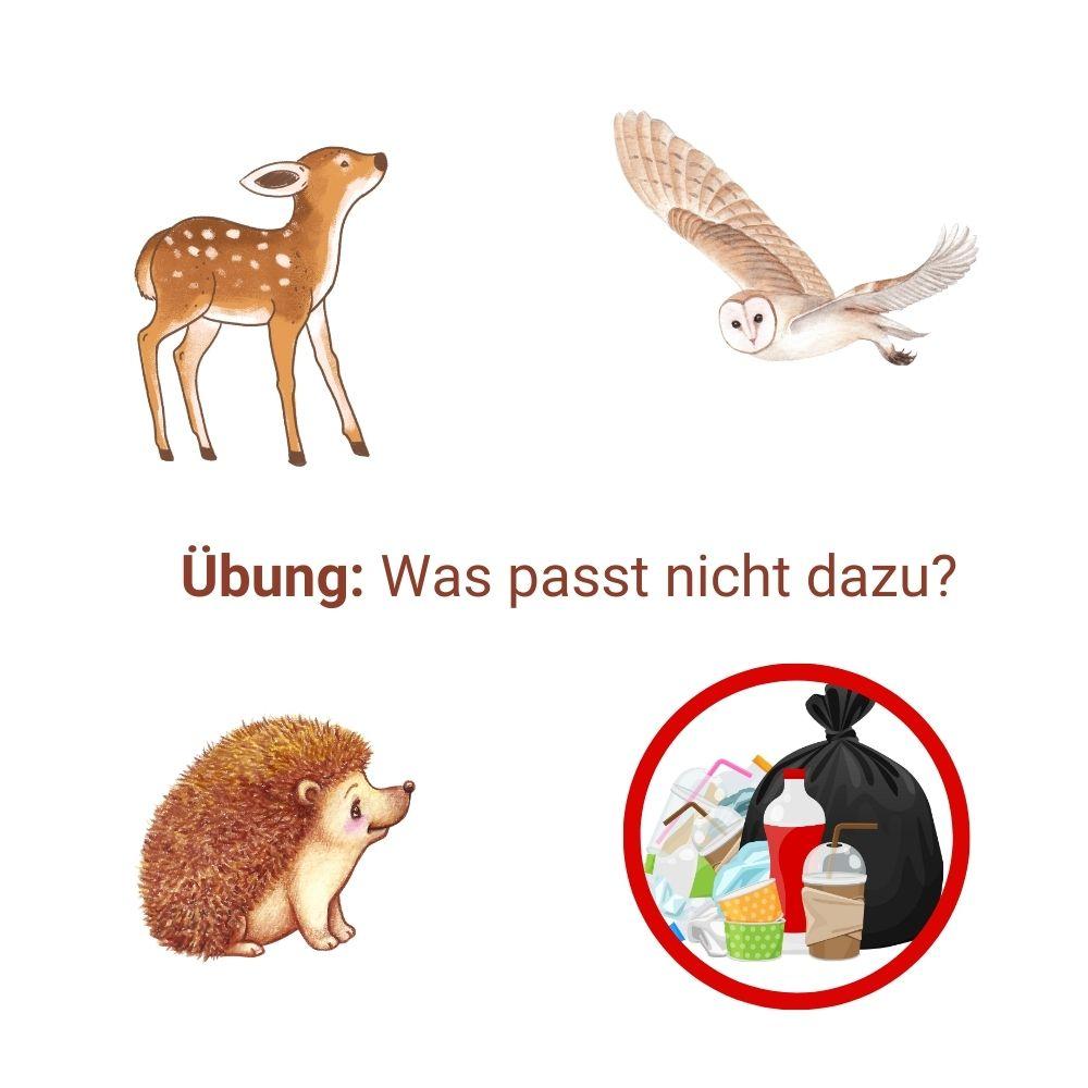 Übung Umwelt: Was passt nicht dazu? Übung Umwelt: Was passt nicht dazu?