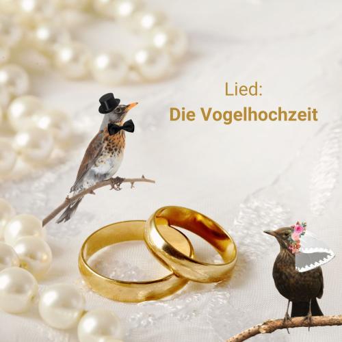 Kinderlied: Vogelhochzeit