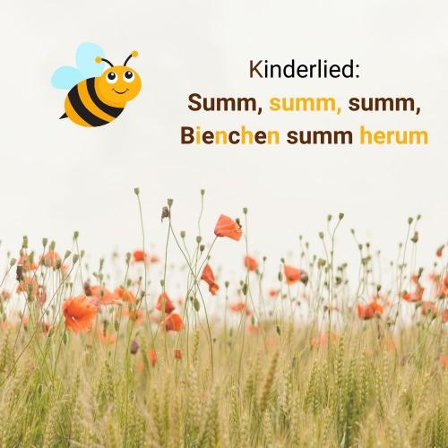 Lied: Summ, summ, summ, Bienchen summ herum