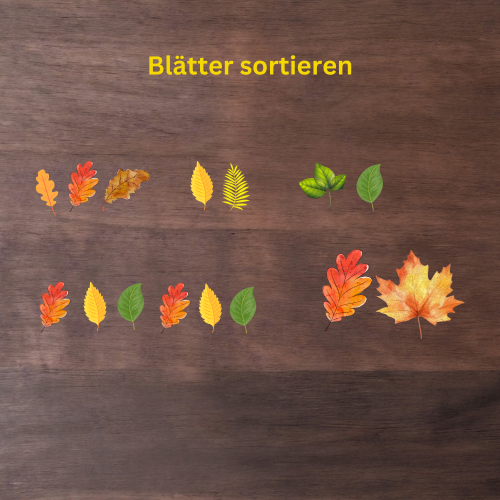 Herbstblätter sortieren
